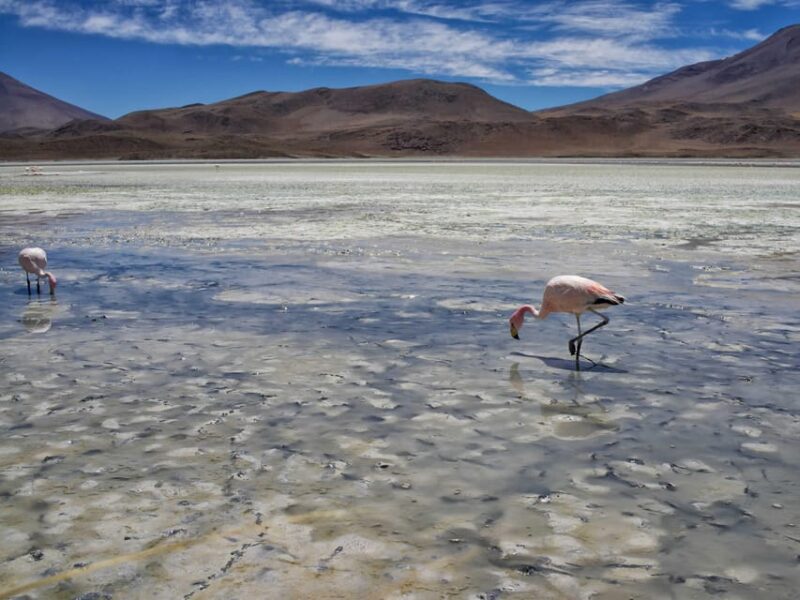 From Uyuni:3-Day Visit to Laguna Colorada and Salar De Uyuni - Accommodation Options