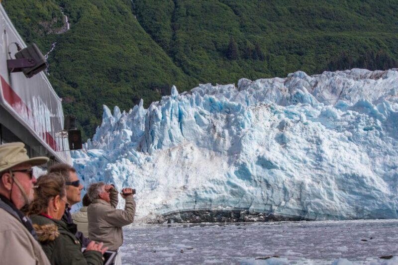 From Valdez: 7.5-hour Meares Glacier & Wildlife Cruise - Experience Highlights
