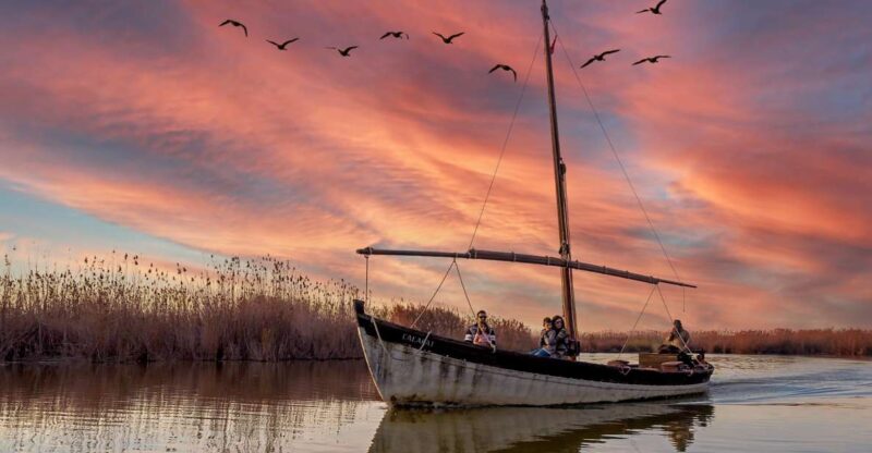 From Valencia: Albufera Day Trip With Boat Tour and Transfer - Key Points