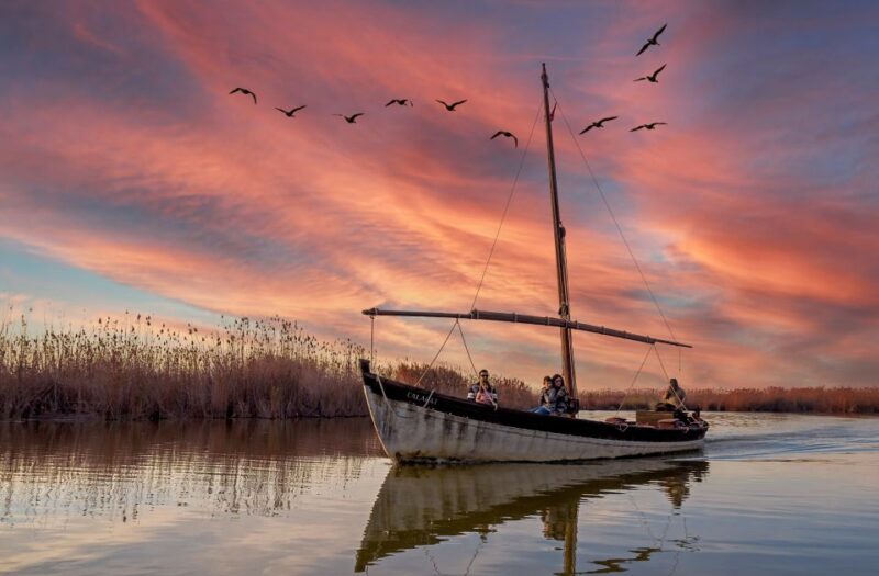 From Valencia: Albufera Day Trip With Boat Tour and Transfer - Pricing and Booking Details