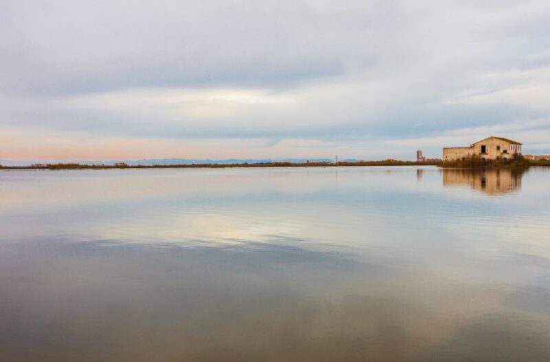 From Valencia: Albufera Day Trip With Boat Tour and Transfer - Exploring the Albufera Natural Lagoon
