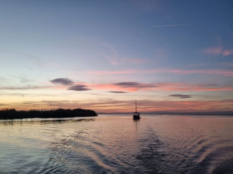 From Valencia: Albufera Day Trip With Boat Tour and Transfer - Boat Tour of the Albufera