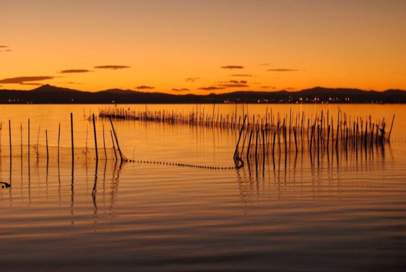 From Valencia: Albufera Natural Park With Sunset Boat Tour - Key Points