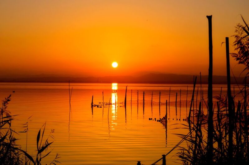 From Valencia: Albufera Natural Park With Sunset Boat Tour - Itinerary and Activities