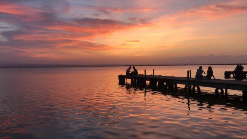 From Valencia: Albufera Natural Park With Sunset Boat Tour - Highlights of the Tour