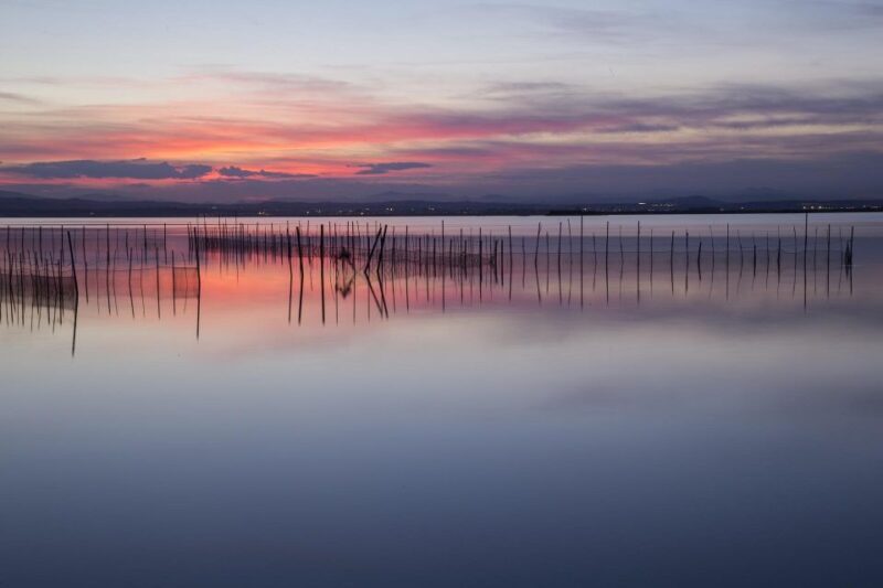 From Valencia: Albufera Natural Park With Sunset Boat Tour - Inclusions