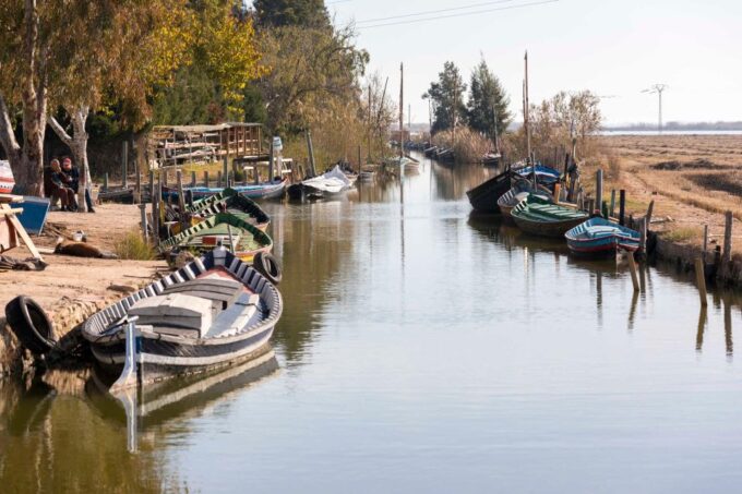 From Valencia: Albufera Natural Park With Sunset Boat Tour - Experiencing Albufera Natural Park