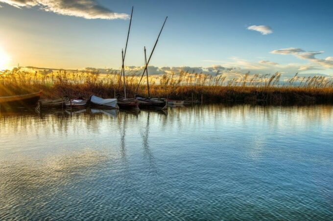 From Valencia: Albufera Natural Park With Sunset Boat Tour - Exploring the Tranquil Lake