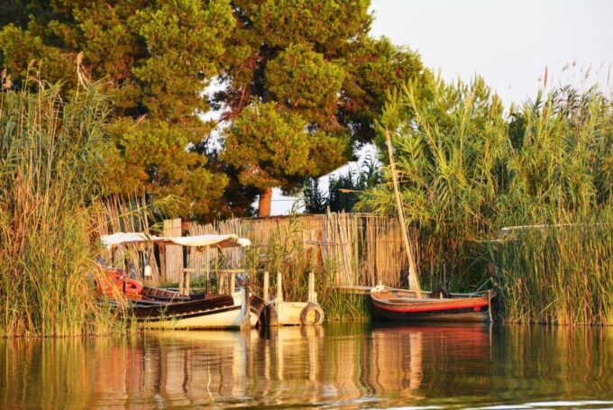 From Valencia: Albufera Natural Park With Sunset Boat Tour - Frequently Asked Questions