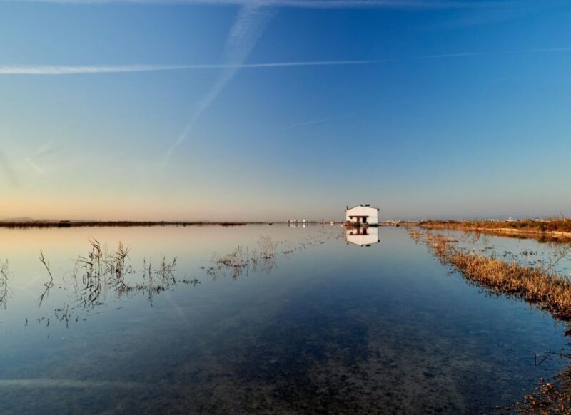 From Valencia: Albufera Tour With Paella, Boat Ride & Walk - Tour of Torre Mirador Del Tancat De Mília