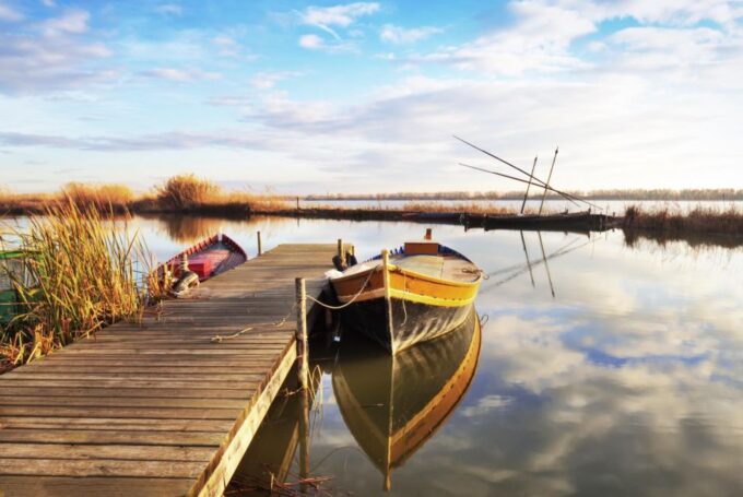 From Valencia: Albufera Tour With Paella, Boat Ride & Walk - Frequently Asked Questions