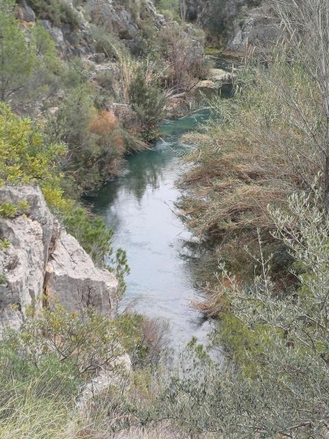 From Valencia: Chulilla Hanging Bridges Hiking and Swimming - Inclusions and Exclusions