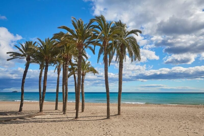 From Valencia: Day Trip to Altea and Villajoyosa - Transportation Details