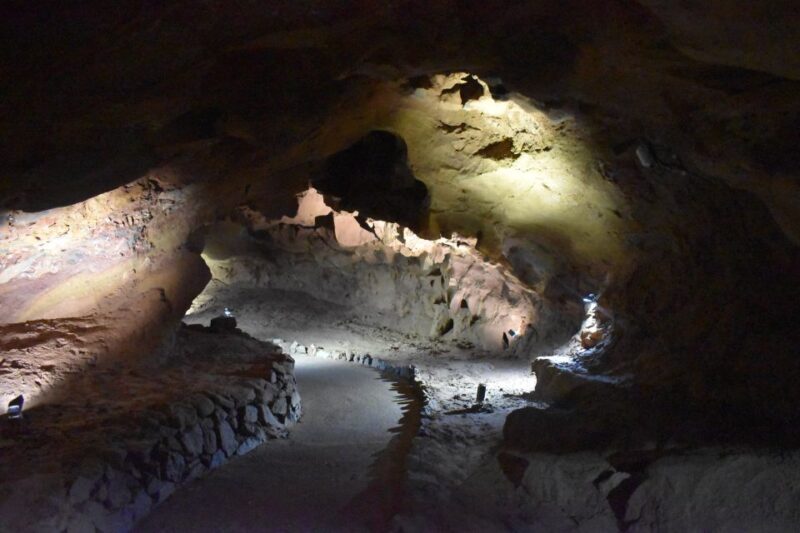 From Valencia: Guided Excursion and Ticket to the Caves of San José - Key Points