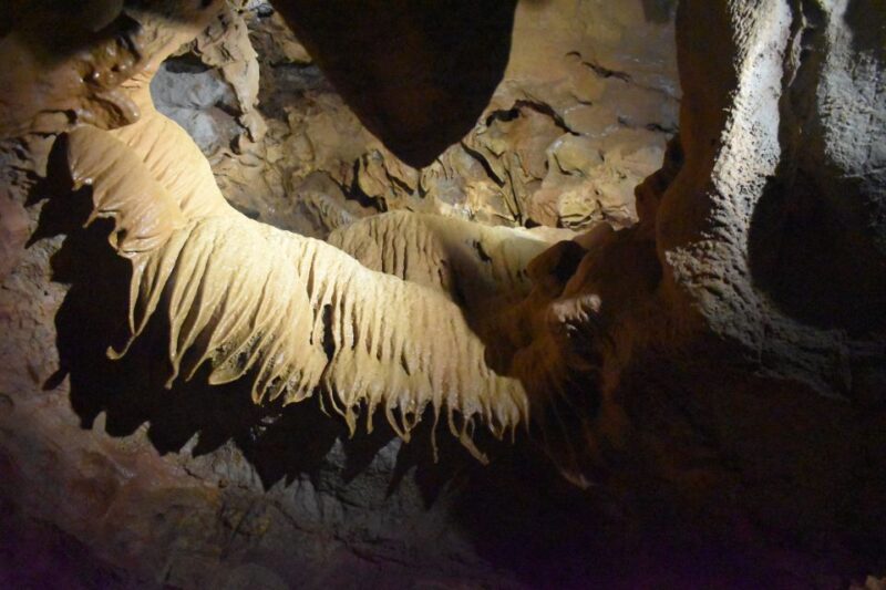 From Valencia: Guided Excursion and Ticket to the Caves of San José - Boat Trip Through the Caves