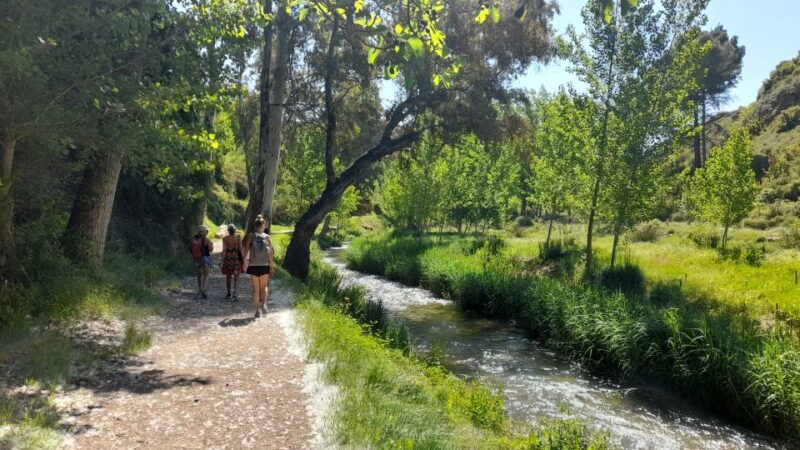 From Valencia: Peña Cortada Aqueduct Hiking Day Tour - Pricing and Booking