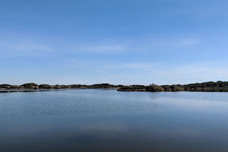 From Valencia: Private Albufera Van Tour With Boat Ride - Birthplace of Paella