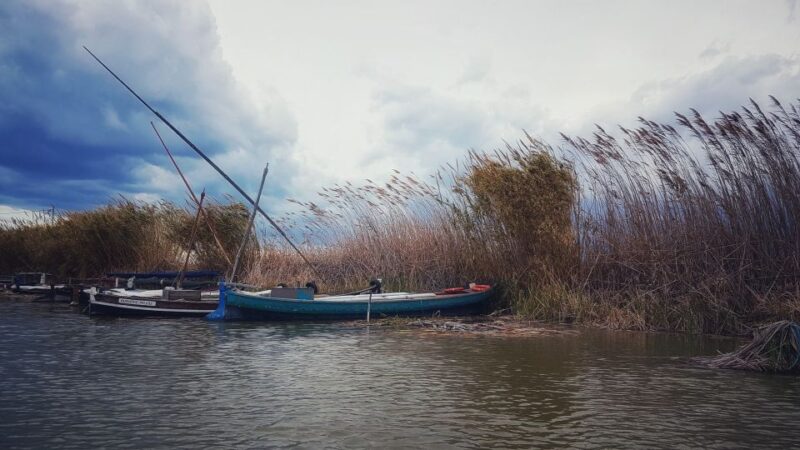 From Valencia: Private Albufera Van Tour With Boat Ride - Boat Ride on Albufera Lagoon