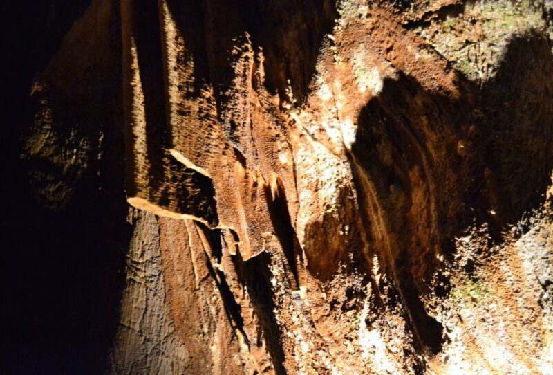 From Valencia: Private Half Day-Trip to Cuevas De San José - Cuevas De San José