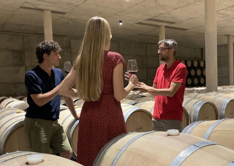 From Valencia: Requena Wine Tour With Tastings - Requena Exploration
