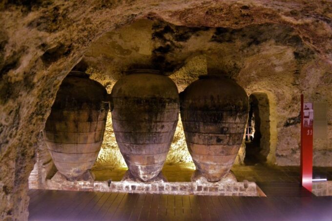 From Valencia: Requena Wine Tour With Tastings - Exclusions and Notes