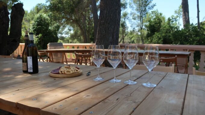 From Valencia: Utiel-Requena Wine Tour and Traditional Lunch - Booking and Meeting