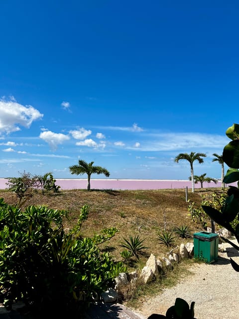 From Valladolid: Private Tour to Rio Lagartos, Coloradas, Ek Balam & Cenote - Rio Lagartos Exploration