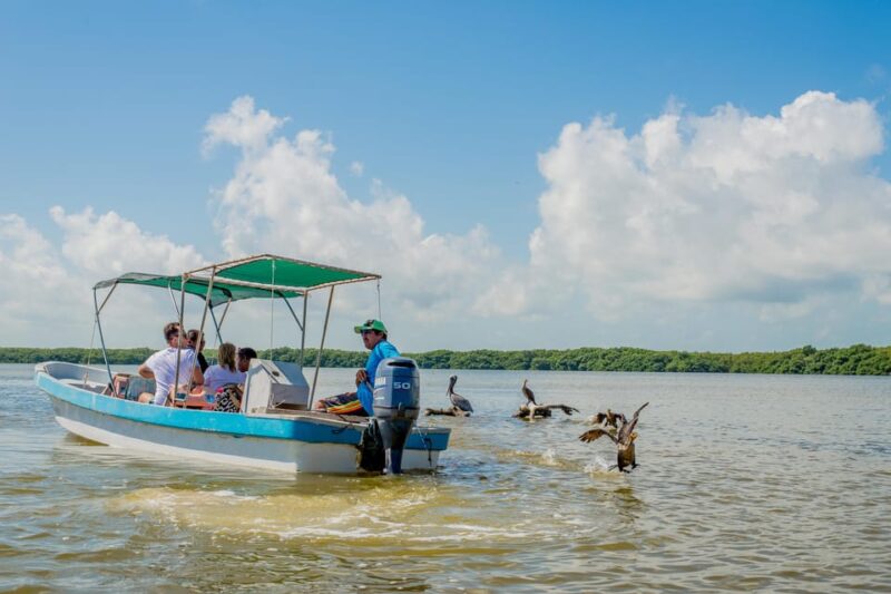 From Valladolid: Rio Lagartos and Ek Balam Day Trip - Cancellation Policy