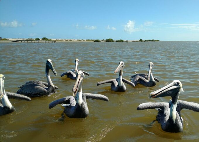 From Valladolid: Rio Lagartos and Ek Balam Day Trip - Suitability