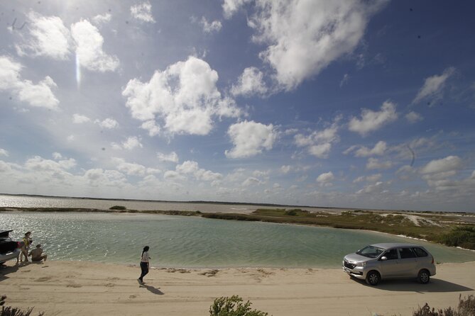 From Valladolid: Rio Lagartos + Coloradas + Ek Balam + Cenote (Transport) - Las Coloradas Vibrant Hues