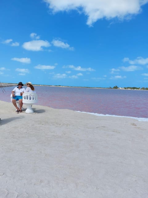 From Valladolid: Rio Lagartos, Las Coloradas, Cenote & Lunch - Itinerary Highlights
