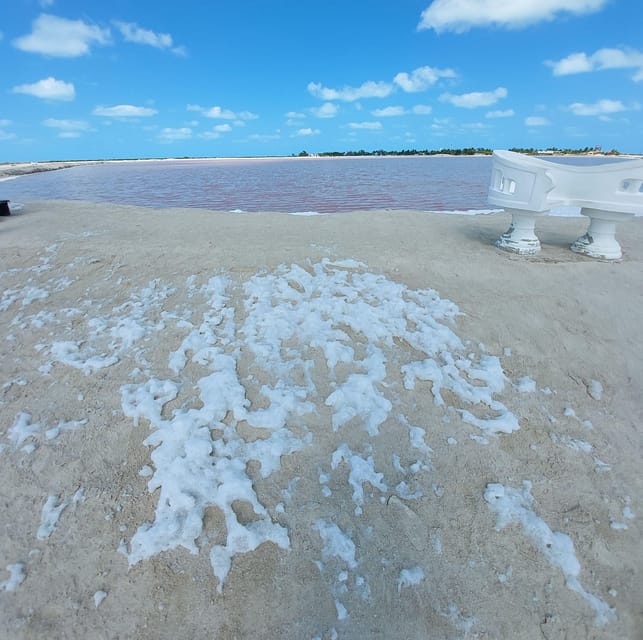 From Valladolid: Rio Lagartos, Las Coloradas, Cenote & Lunch - Included Activities