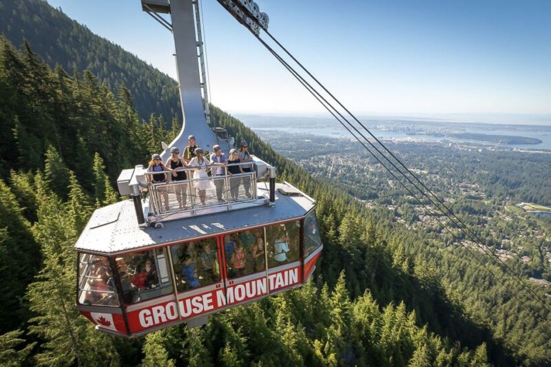 From Vancouver: Capilano Suspension Bridge & Grouse Mountain - Itinerary Highlights