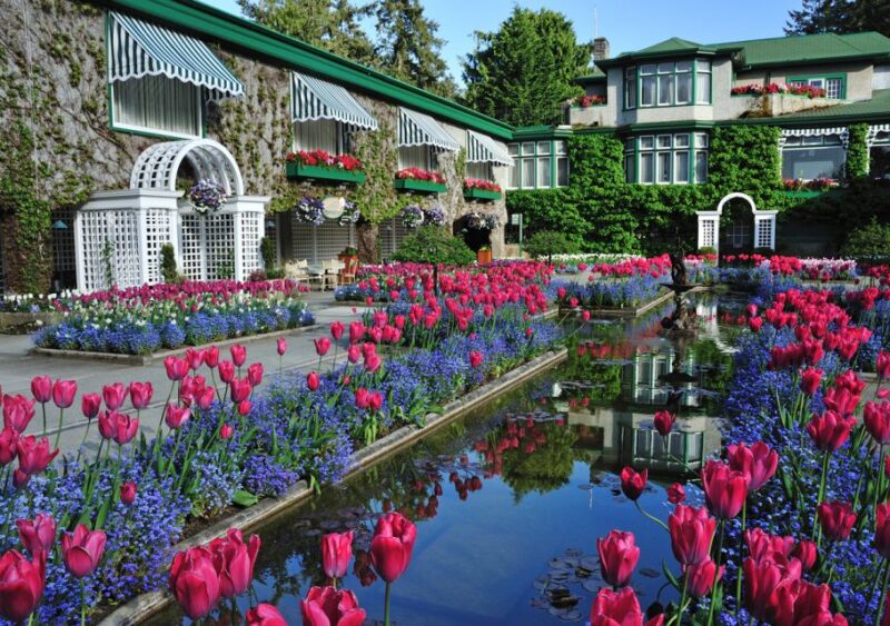 From Vancouver: Full-Day Victoria & Butchart Gardens Tour - Customer Experience
