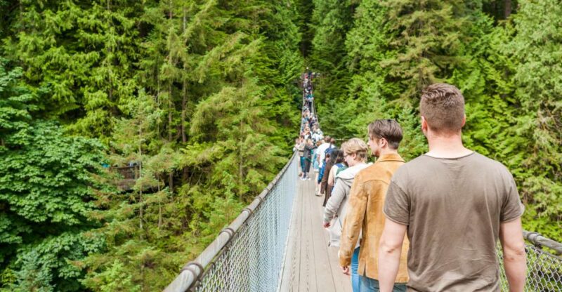 From Vancouver: Grouse Mountain & Capilano Suspension Bridge - Itinerary Highlights