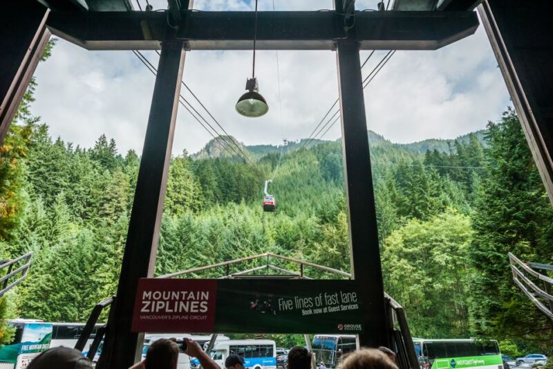 From Vancouver: Grouse Mountain & Capilano Suspension Bridge - Customer Feedback