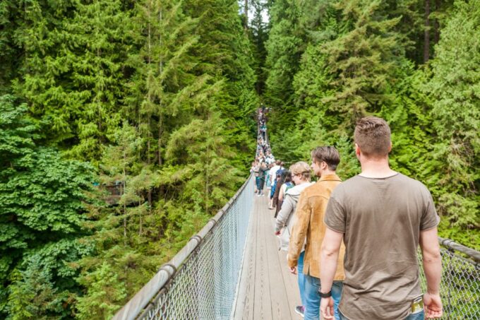 From Vancouver: Grouse Mountain & Capilano Suspension Bridge - Grouse Mountain Attractions