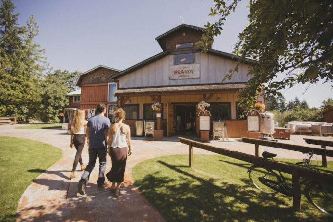 From Vancouver: Malahat SkyWalk & Vancouver Island Day Trip - Merridale Cidery & Distillery