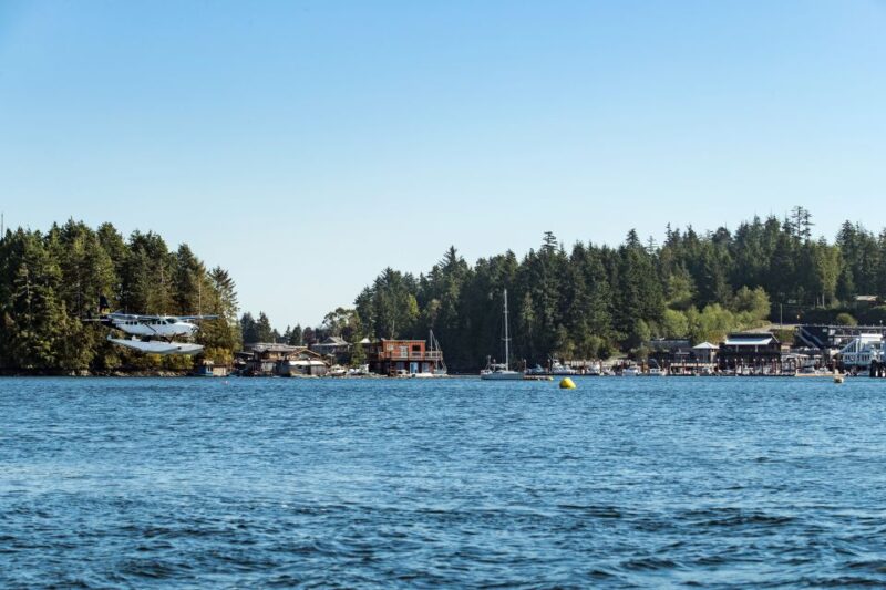 From Vancouver: Seaplane Transfer to Tofino - Itinerary Details