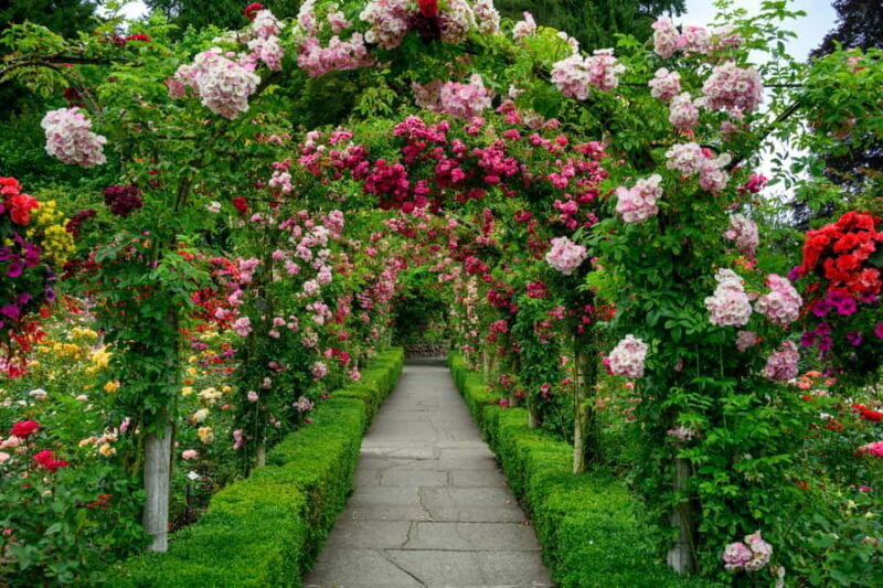 From Vancouver: Victoria & Butchart Gardens Tour with Cruise - A Deep Dive into the Experience