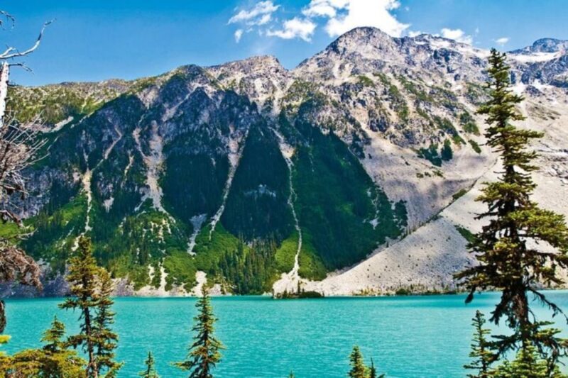 From Vancouver: Whistler Tour With Shannon Falls and Gondola - Customer Experience and Feedback