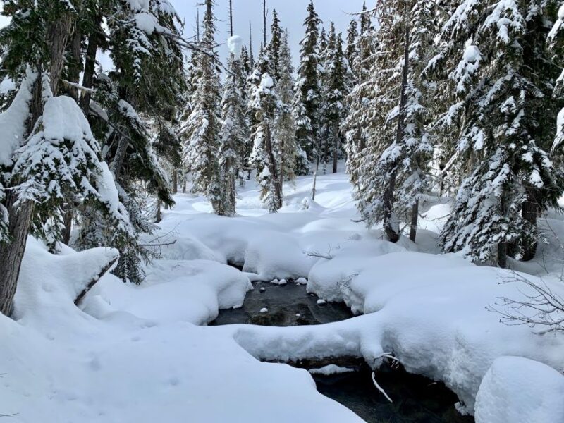 From Vancouver: Whistler Village and Lost Lake Snowshoe Trip - Itinerary