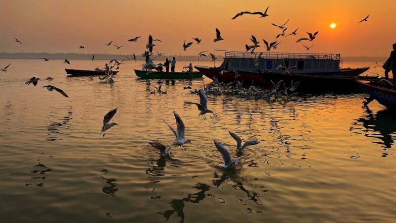 From Varanasi: 3 Days Varanasi Prayagraj Tour - Pricing Details