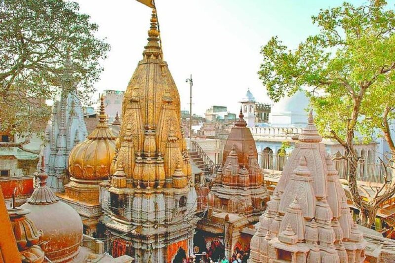From Varanasi: Temple Hopping on a Tuk-Tuk - Bharat Mata Temple