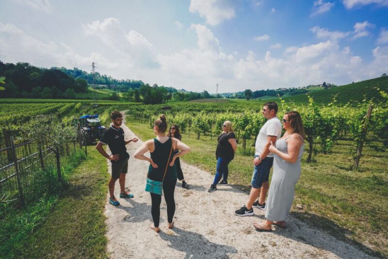 From Venice: Prosecco Hills and Wine Tasting Tour - Inclusions and Important Information