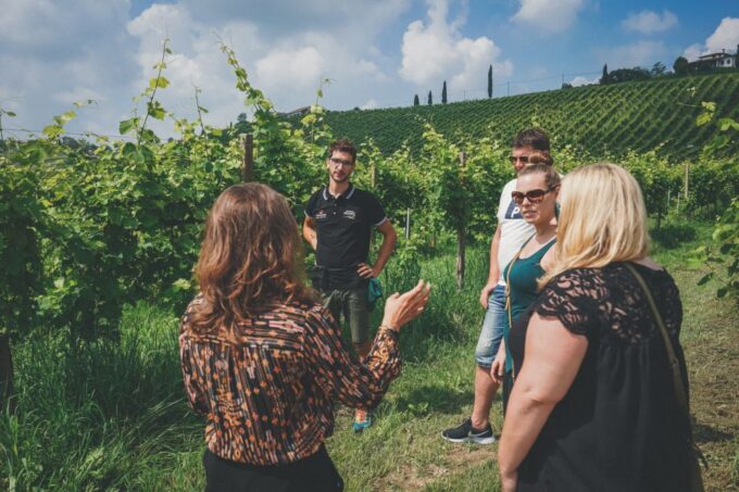 From Venice: Prosecco Hills and Wine Tasting Tour - How to Book the Tour