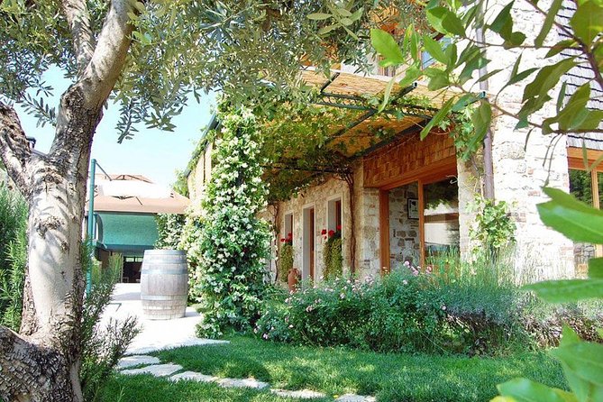 From Venice : Wine and Food Tour in the Prosecco Hills - Pairing Prosecco With Local Delicacies