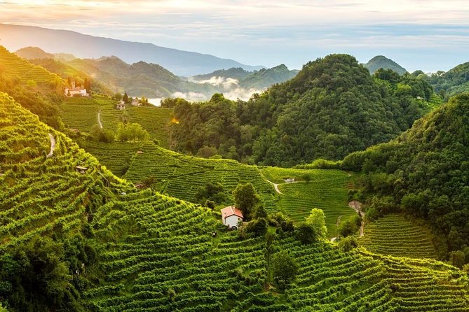 From Venice : Wine and Food Tour in the Prosecco Hills - UNESCO World Heritage Landscapes