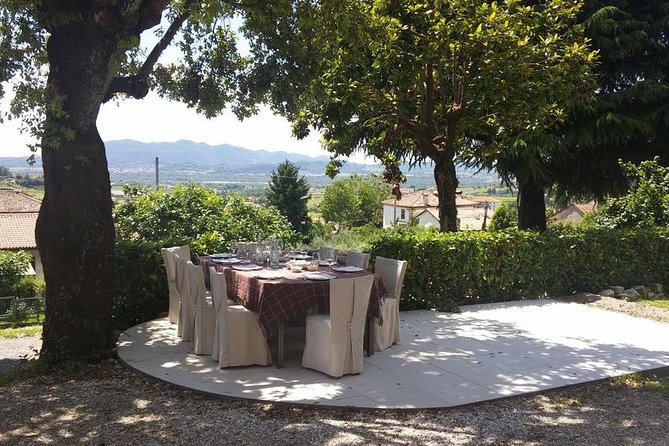 From Venice : Wine and Food Tour in the Prosecco Hills - Booking Confirmation and Accessibility