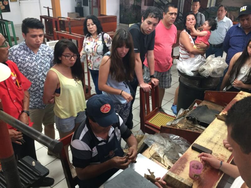 From Veracruz: Catemaco & Los Tuxtlas Visit With Boat Trip - Preparation and Recommendations